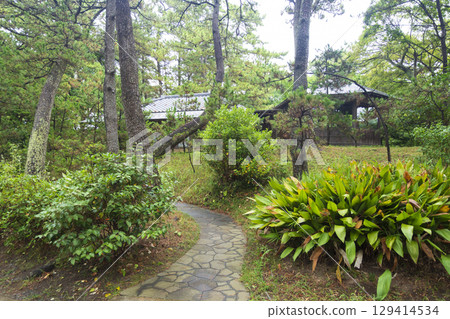 葉山潮騷公園的夏天 129414534