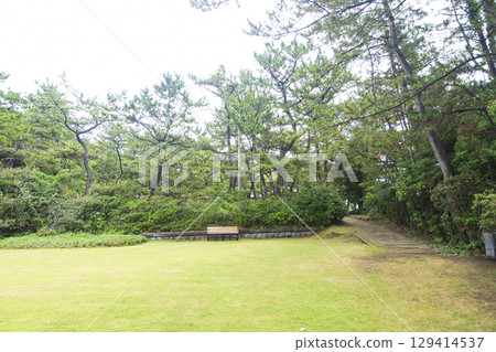 葉山潮騷公園的夏天 129414537