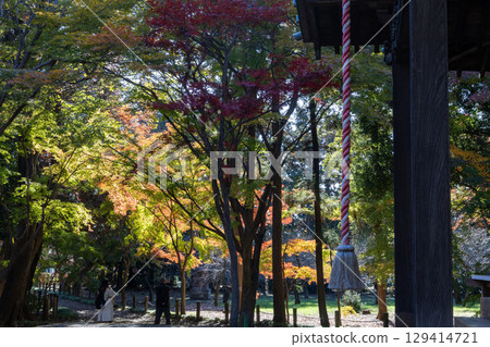 平林寺：寺院內美麗的秋葉 129414721