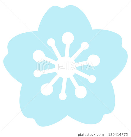A simple light blue cherry blossom illustration A simple light blue cherry blossom illustration 129414775