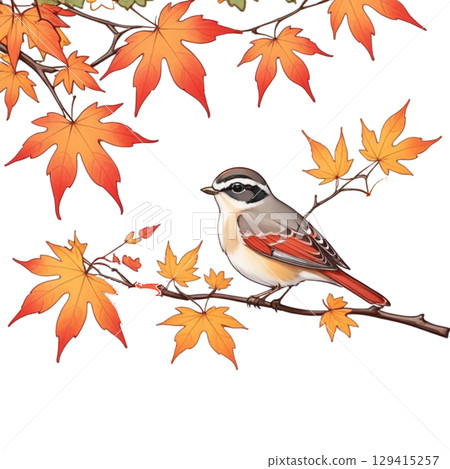 一隻形狀各異的山雀在秋葉的映襯下休息 129415257