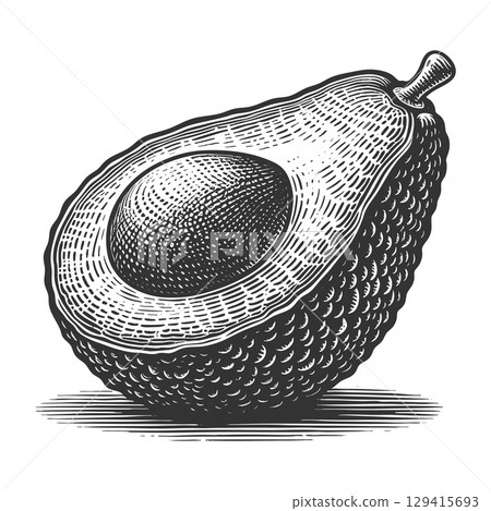 avocado engraving sketch vector illustration 129415693