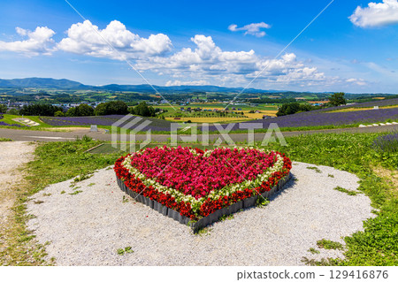 日之出公園展望台（北海道，7月） 129416876