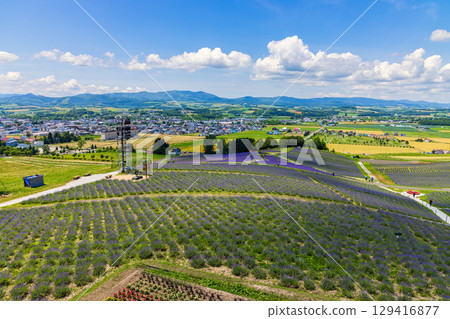 日之出公園展望台（北海道，7月） 129416877