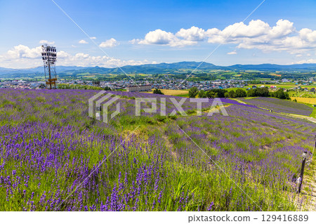 日之出公園展望台（北海道，7月） 129416889