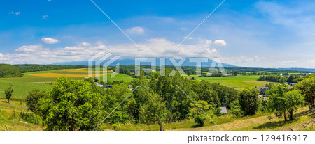 日之出公園展望台（北海道，7月） 129416917