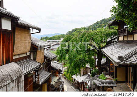 Sanneizaka Akebonotei Fresh green thread cherry blossoms 129417140