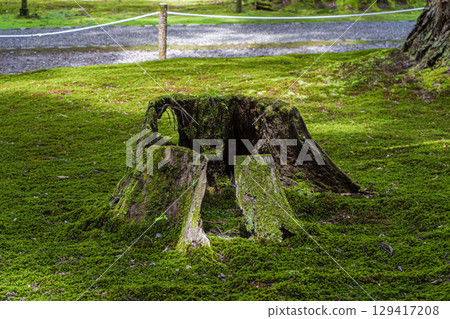 Heizenji Temple Hakusan Shrine 129417208