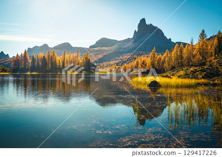 Viewpoint with colorful larches and Lake Federa, Dolomites, Italy Viewpoint with colorful larches and Lake Federa, Dolomites, Italy 129417226