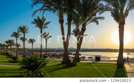 Marsa Alam Tropical Resort Sunset with Palm Trees 129418013
