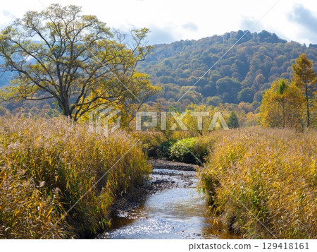 River flowing through Oze River flowing through Oze 129418161