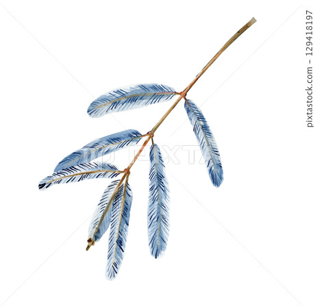 Christmas fir tree twig watercolor hand drawn illustration. The botanical illustration is isolated on a white background. 129418197