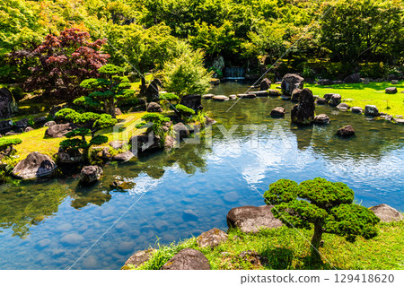 Fresh greenery at Yabakei Dam Memorial Park, Keisekien [Yabakei, Nakatsu City, Oita Prefecture] 129418620