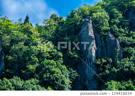Fresh greenery at Tatehane [Urayabakei, Nakatsu City, Oita Prefecture] 129418834