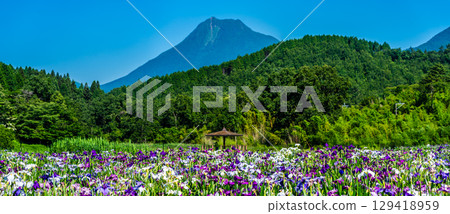 神樂女湖菖蒲園全景（大分縣別府市） 129418959