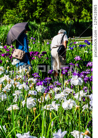 神樂湖菖蒲園（大分縣別府市） 129418965