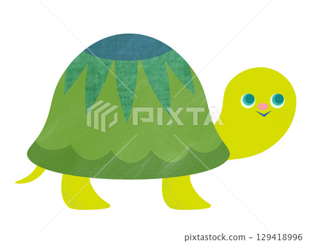 可愛的烏龜 可愛的烏龜 129418996