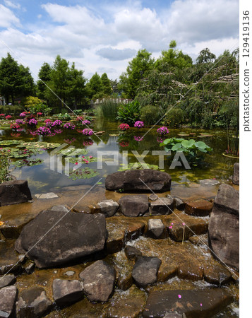 草津市水生植物公園Mizu no Mori Hana Hakage Pond 129419136