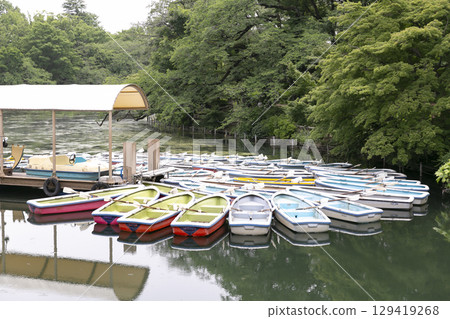 Rowboats at Inokashira Park Rowboats at Inokashira Park 129419268