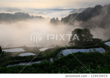 Rice terraces and sea of clouds on the mountain pass 129419419