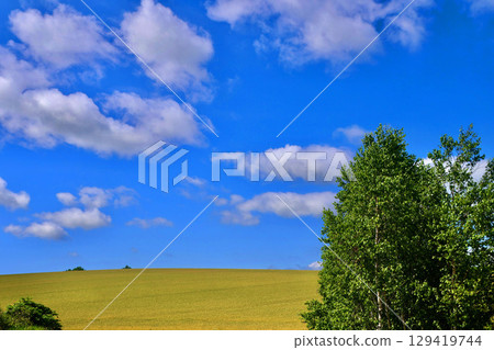 The land and sky of Biei (Biei Town, Hokkaido) The land and sky of Biei (Biei Town, Hokkaido) 129419744