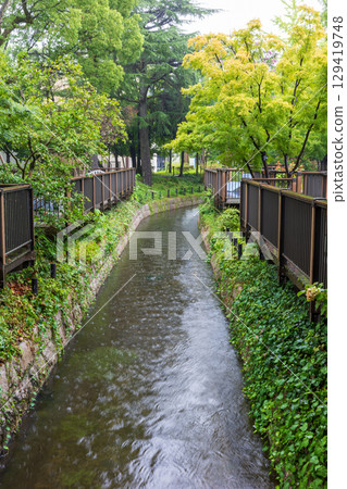日本岡山縣倉敷市美麗的夏日雨景 日本岡山縣倉敷市美麗的夏日雨景 129419748