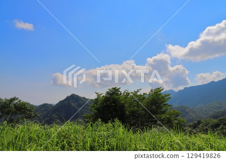 Grassland, trees, blue sky, clouds, mountains Grassland, trees, blue sky, clouds, mountains 129419826