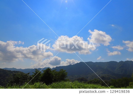 草原,樹木,藍天,白雲,山脈 草原,樹木,藍天,白雲,山脈 129419836