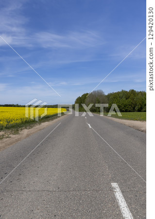 road in a field on one side grows rapeseed, and on the other side grows green grass against a blue sky with clouds road in a field on one side grows rapeseed, and on the other side grows green grass against a blue sky with clouds 129420130