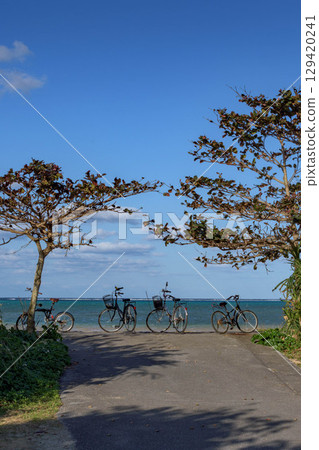 Summer vacation, road to the sea and children's bicycles 129420241