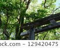 The Kumano Kodo in spring. Scenery of an ancient road in Japan. 129420475