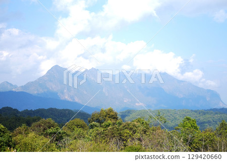 Landscape of tropical forest with valley hill and DoiLuang Chiang Dao mountain view, Chiang Mai of Thailand 129420660