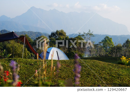 Landscape of camping and tent on green lawn field with tropical forest and flower meadow on valley hill and DoiLuang Chiang Dao mountain view, Chiang Mai of Thailand 129420667