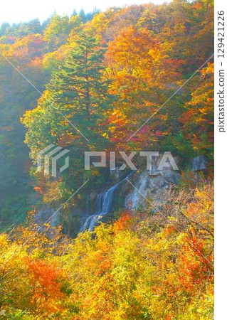Omoshiroyama Momijigawa Valley Autumn leaves Yellow leaves Fujihana Falls Omoshiroyama Momijigawa Valley Autumn leaves Yellow leaves Fujihana Falls 129421226