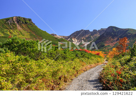 Autumn foliage on the Tokachidake hiking trail in Kamifurano, Hokkaido [September] 129421622