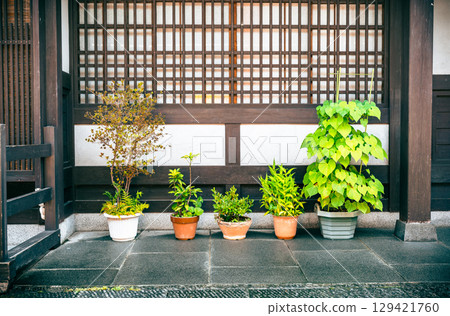 Plants at the entrance, Hida Takayama Plants at the entrance, Hida Takayama 129421760