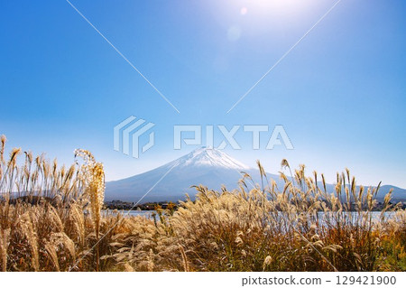 A lake and snow-capped Mount Fuji seen through the heads of Japanese pampas grass A lake and snow-capped Mount Fuji seen through the heads of Japanese pampas grass 129421900