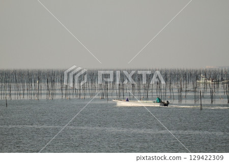 大牟田市有明海紫菜場, 大牟田市有明海紫菜場, 129422309