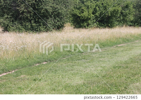People walking on a trail in an open green field. People walking on a trail in an open green field. 129422665