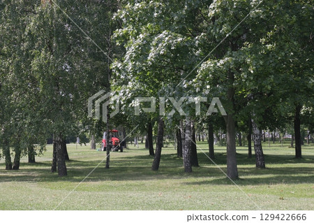 Summer in the landscape park Kolomenskoye in the district, Moscow, August 2022. 129422666