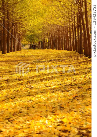 青函綠地的黃色地毯 青函綠地的黃色地毯 129422752