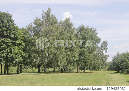 Summer in the landscape park Kolomenskoye in the district, Moscow, August 2022. 129422981
