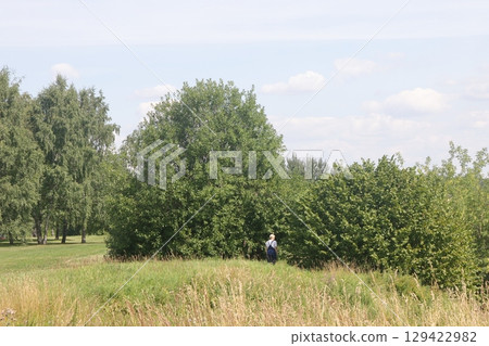 Summer in the landscape park Kolomenskoye in the district, Moscow, August 2022. 129422982