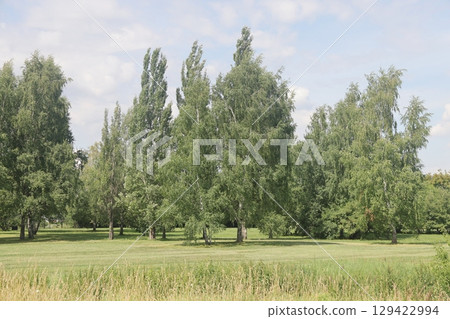 Summer in the landscape park Kolomenskoye in the district, Moscow, August 2022. Summer in the landscape park Kolomenskoye in the district, Moscow, August 2022. 129422994