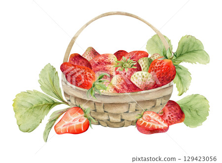 Strawberry in weaved basket with foliage leaves, ripe picked garden berry harvest heap, pineberry strasberry. Isolated illustration hand drawn in watercolor. Dessert cafe menu, farmers market grocery 129423056