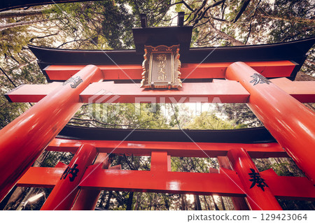 Upward perspective of iconic red torii gate at Fushimi Inari Taisha, showing golden sunlight 129423064