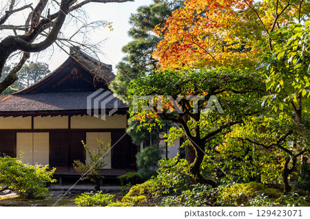 Traditional Japanese pavilion in Kyoto, Japan, surrounded by autumn trees under daylight Traditional Japanese pavilion in Kyoto, Japan, surrounded by autumn trees under daylight 129423071