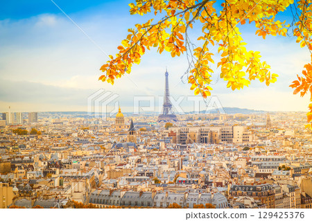 skyline of Paris with eiffel tower skyline of Paris with eiffel tower 129425376