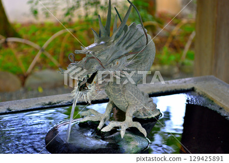 中部地區，伊豆修善寺溫泉，修善寺寺院內，靜岡縣伊豆市修善寺湧出溫泉的水泉屋（淨化噴泉）裡有一條罕見的龍（5） 129425891