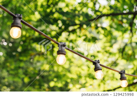 Close up of glowing string lights, street decor in summer garden with blurred green trees background Close up of glowing string lights, street decor in summer garden with blurred green trees background 129425998